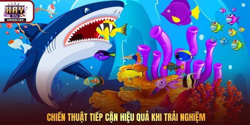 Chiến thuật tiếp cận hiệu quả khi trải nghiệm