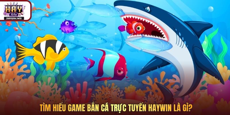 Tìm hiểu game bắn cá trực tuyến Haywin là gì?