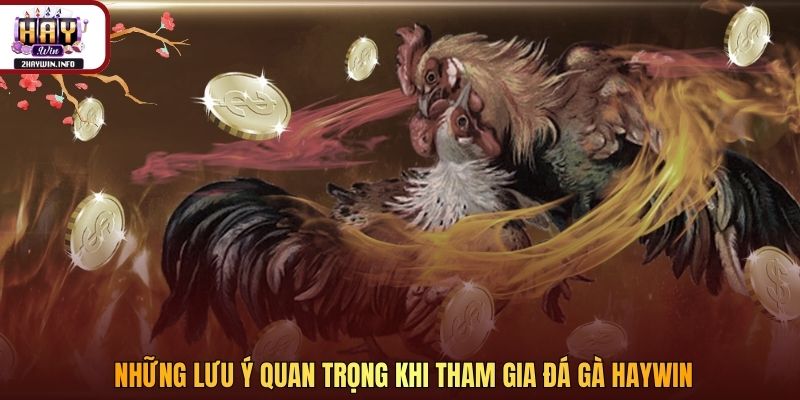 Những lưu ý quan trọng khi tham gia đá gà Haywin