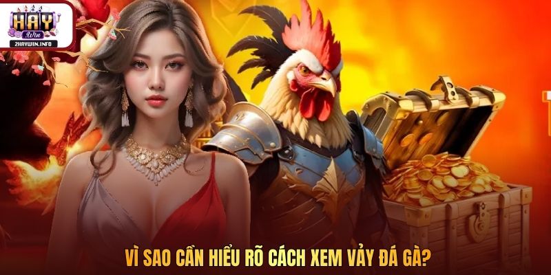 Vì sao cần hiểu rõ cách xem vảy đá gà?
