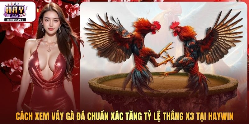 Cách Xem Vảy Gà Đá Chuẩn Xác Tăng Tỷ Lệ Thắng X3 Tại Haywin
