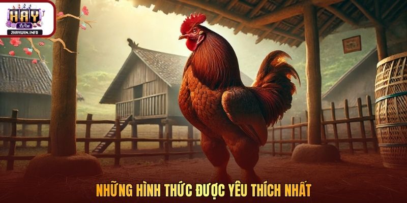 Những hình thức được yêu thích nhất