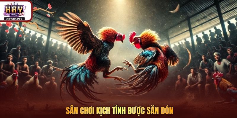 Sân chơi kịch tính được săn đón