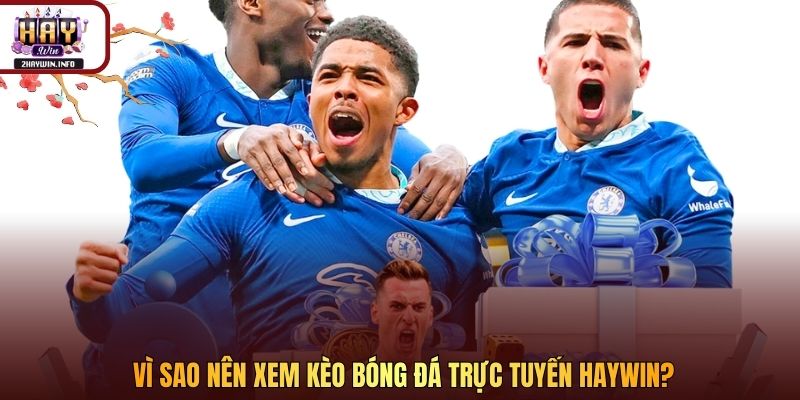 Vì sao nên xem kèo bóng đá trực tuyến Haywin?